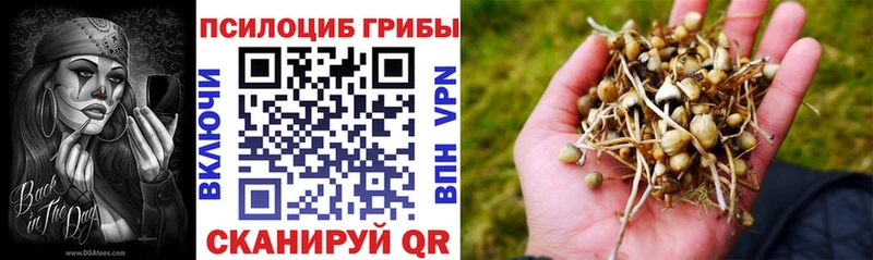 Галлюциногенные грибы Cubensis  Купить  Черняховск 